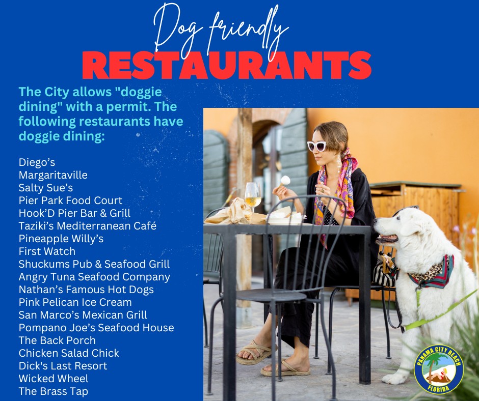 panama-city-beach-florida-announces-dog-friendly-restaurants-for