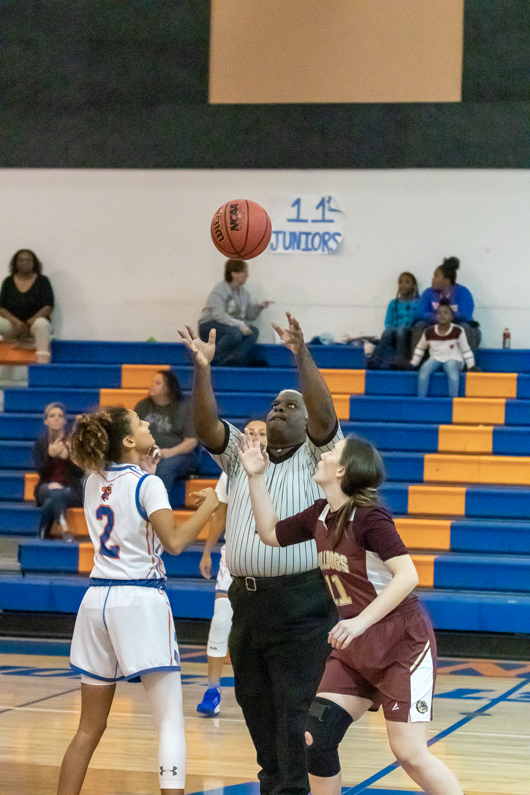 Part 1- Liberty County, Florida High School Lady Bulldogs Basketball ...