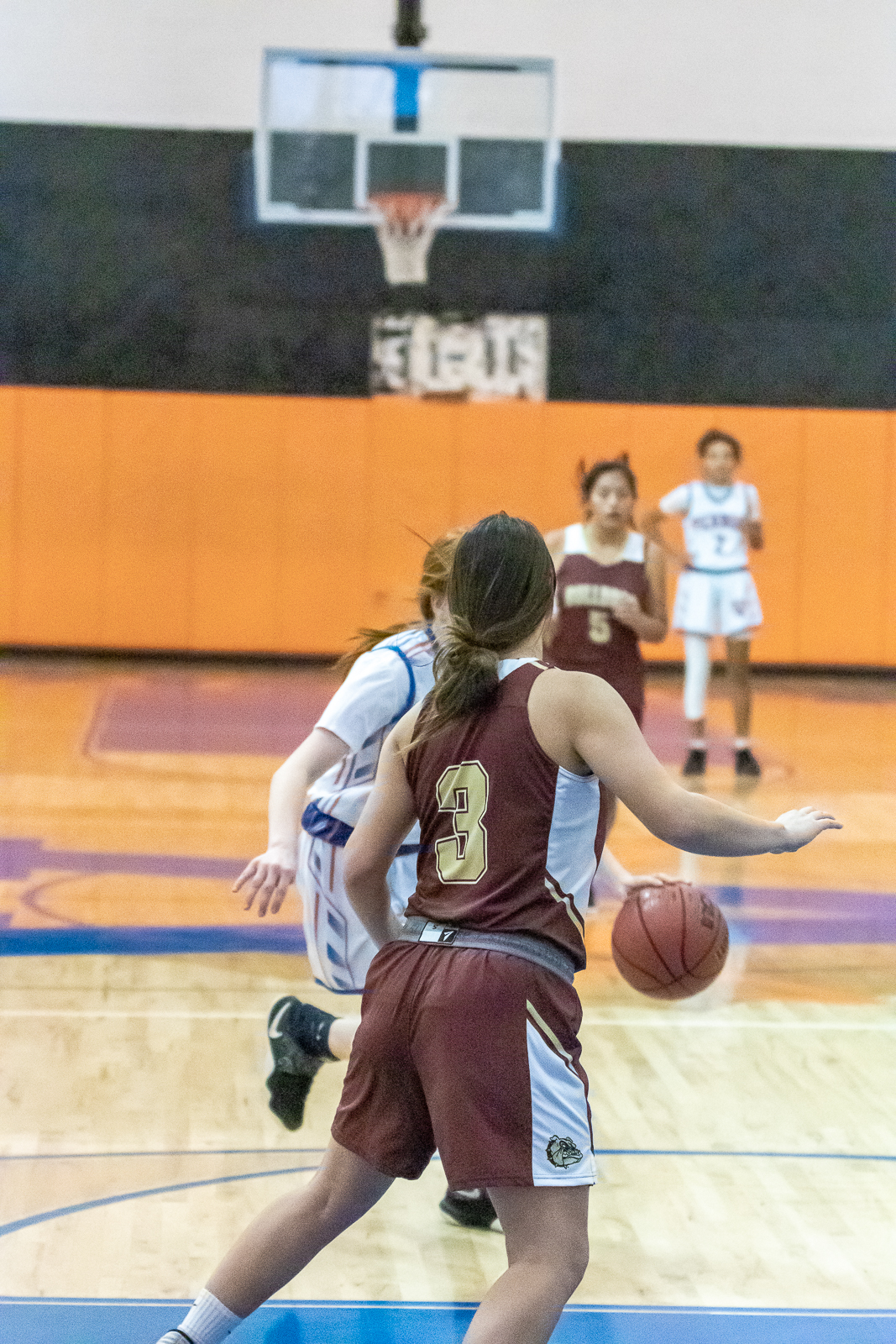 Part 1- Liberty County, Florida High School Lady Bulldogs Basketball ...