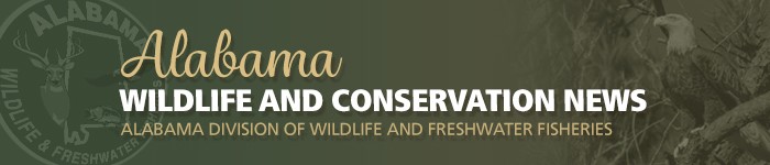 Alabama Wildlife & Conservation News ...