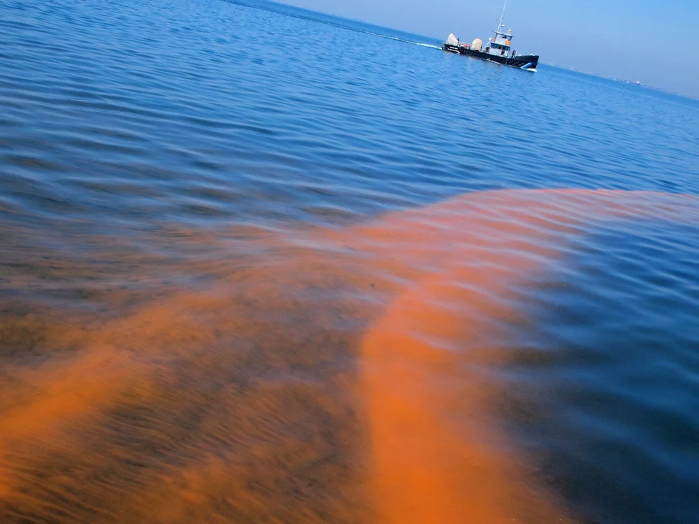 Recent Hurricane Helene and Hurricane Milton Spawn Bloom of 'Red Tide